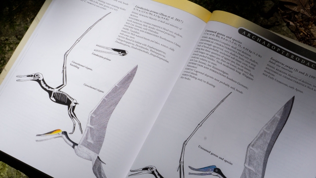 The Princeton Field Guide to Pterosaurs - Liaodactylus primus