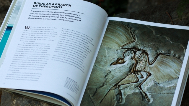 Dinosaur Behavior interior pages