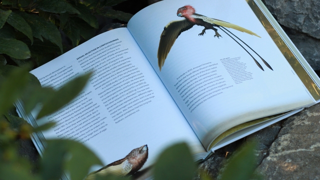 Dinosaur Behavior interior pages