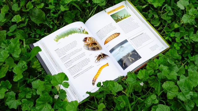 The Complete Insect open book showing facing pages