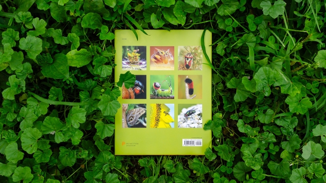 The Complete Insect back cover on green leaves