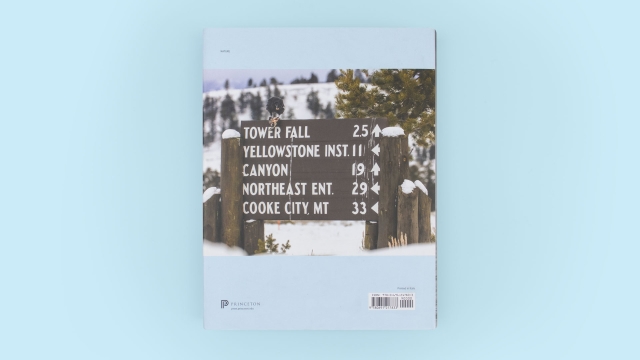 Yellowstone's Birds back cover