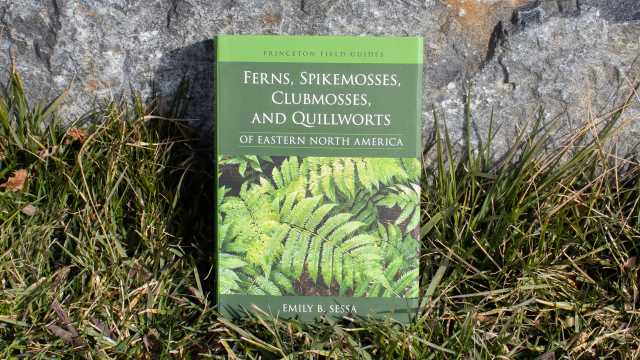 Ferns, Spikemosses, Clubmosses, and Quillworts front cover.