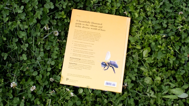 The Lives of Bees back cover.