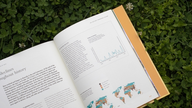 The Lives of Bees - pagespread with graph and map.