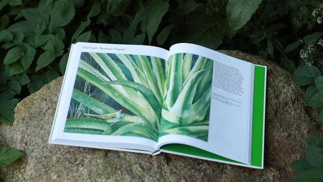 Drawing Nature - "Late Light-Huachuca Migrant" 2  pagespread watercolor of green bird with green plant.