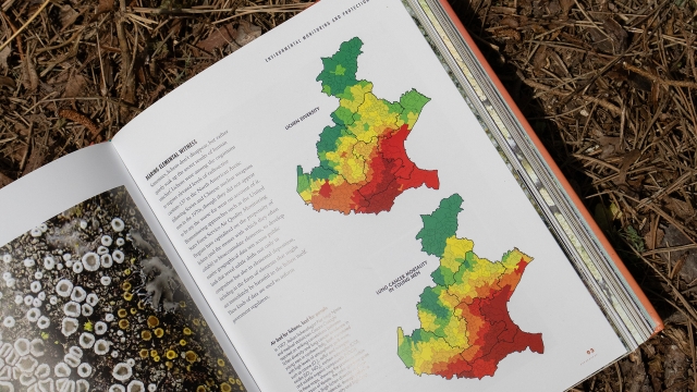 The Lives of Lichens - Lichen Diversity and Lung Cancer Mortality infographics.