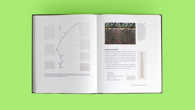 Do Plants Know Math? diagrams and photo pagespread.