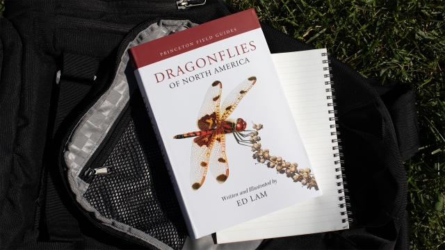 Dragonflies of North America front cover.