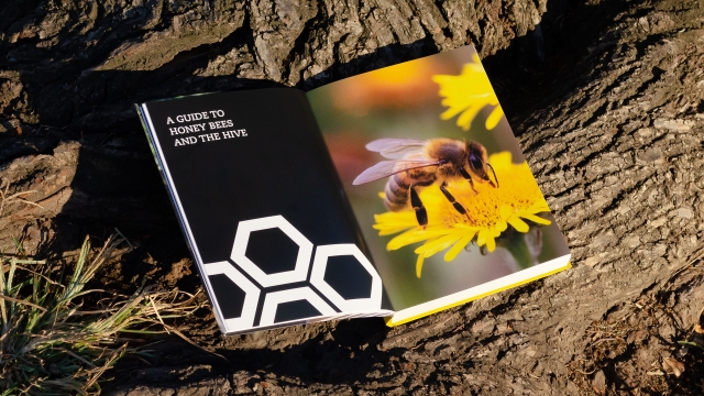 The Beekeeper's Guide - A Guide to Honey Bees and the Hive.