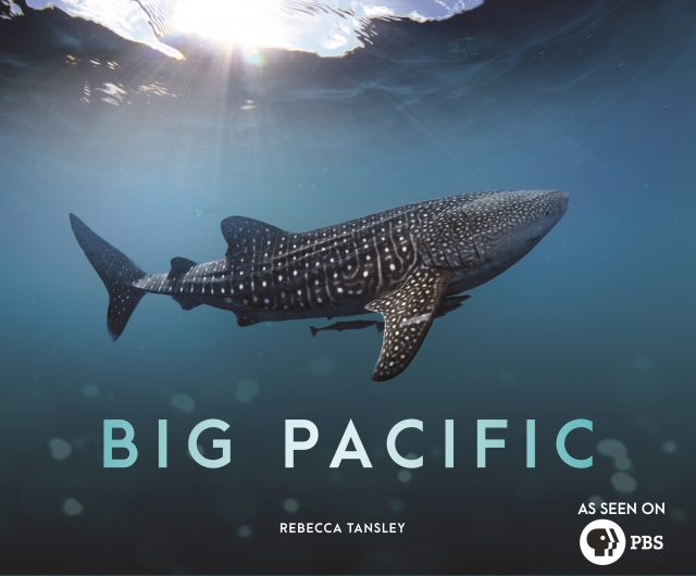 Big Pacific