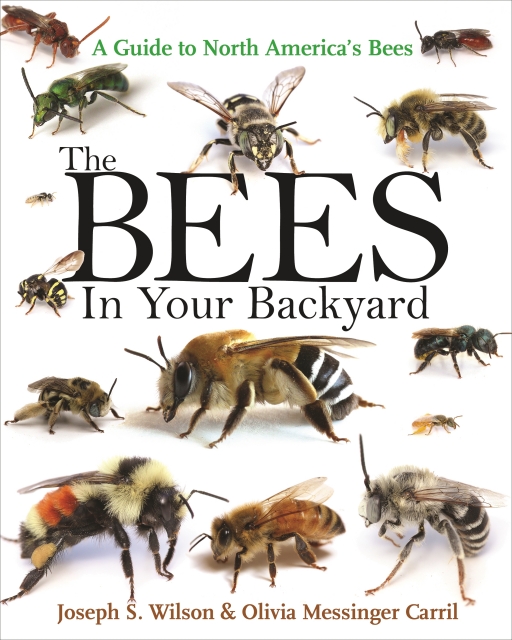 The Bees in Your Backyard