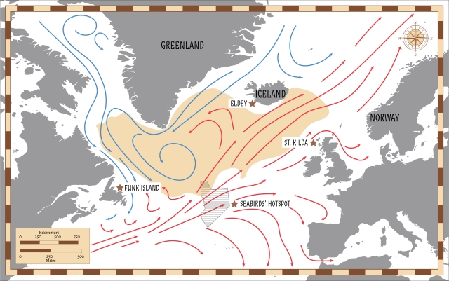 Map of North Atlantic Ocean. The section of ocean between Newfoundland and Labrador, Greenland, Iceland, and the British Isles is highlighted. At the southern edge of the highlighted section “Seabird’s Hotspot” is indicated with a star. Ocean currents are indicated by arrows.