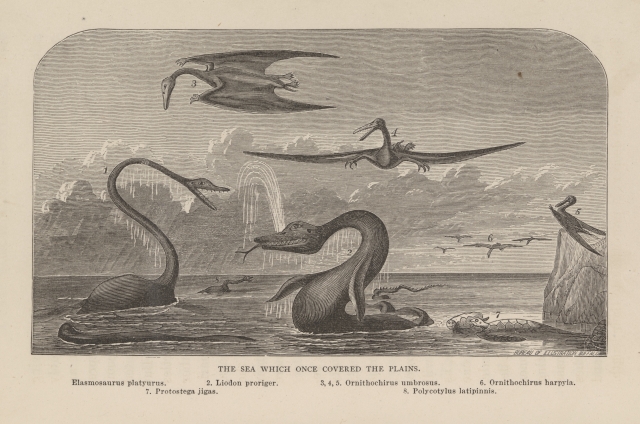 19th century illustration of extinct species resembling Pterodactyls and Elasmosaurus.